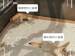 -宁波野生动物园