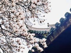 -龙华寺