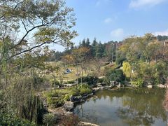 -铁山坪森林公园