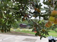 -宝岩生态观光园