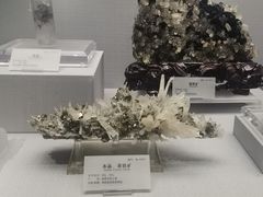 -湖南省地质博物馆