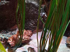 -沈阳海洋探索中心