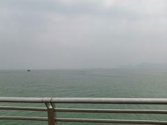 -演武大桥观景平台