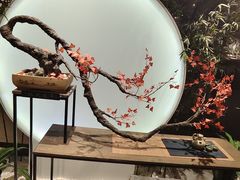 -六朝博物馆