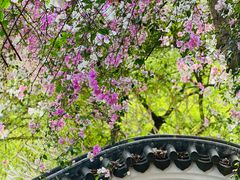 -深圳国际园林花卉博览园