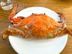 公飞蟹-渔家乐小海鲜(皇姑店)