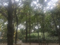 -汇龙潭