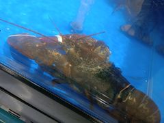 -长申超市(美食城店)