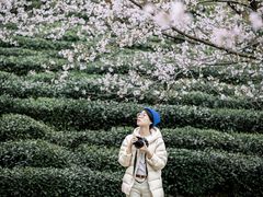-浙江科技大学(小和山校区)