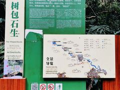 -莫里热带雨林景区