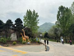 -西安秦岭野生动物园