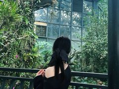 -东莞植物园
