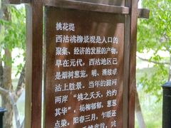 -桃花堤公园