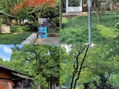-瑶琳仙境
