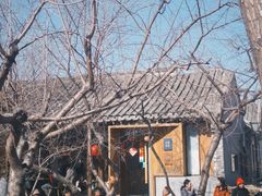 -春风习习