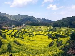 -灵山景区梯田