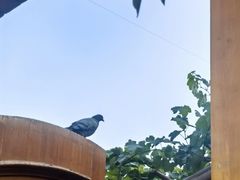 -伊犁老城喀赞其民俗旅游区