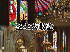 -广州长隆国际大马戏
