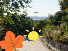 -北京西山国家森林公园