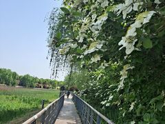 -苏州湾体育公园