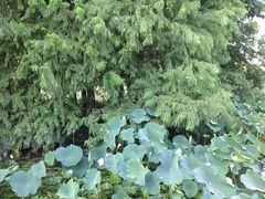 -白塘生态植物园
