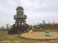 -上海长兴岛郊野公园