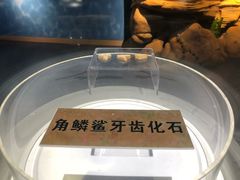-上海海昌海洋公园-停车场