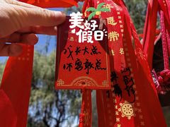 -白洋淀风景区