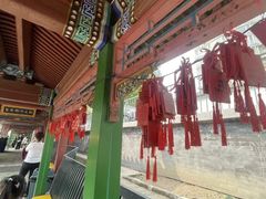 -皇家御河游(紫御湾码头)