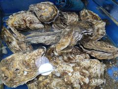 -张树军海鲜(王府壹号店)