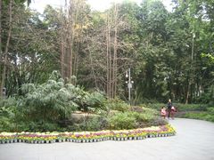 公园内-望江楼公园