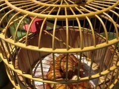 -梦田音乐miniLIVE(漳州店)