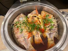 -雅枫国际酒店—枫叶自助餐(福田店)