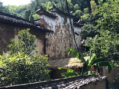-杨家堂村