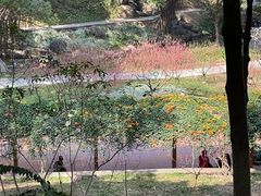 -广州市白云山风景名胜区