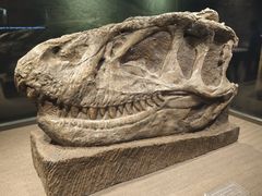 -自贡恐龙博物馆