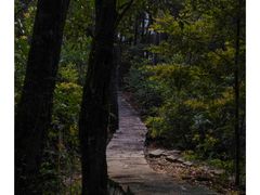 -广州市流溪河国家森林公园