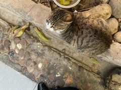 -随园花园餐厅(新港中路店)