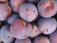 -庆岭迎宾园正宗活鱼馆