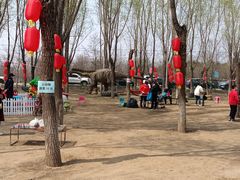 -草根堂农场