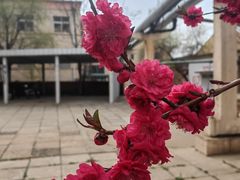 -半天妖烤鱼(丰科万达店)