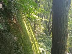 -崂山巨峰游览区