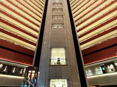 -新加坡文华东方酒店