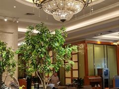 -锦粤宫·精致粤菜(深圳北站店)