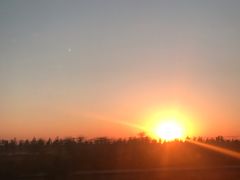-老庞家水馅包子馆