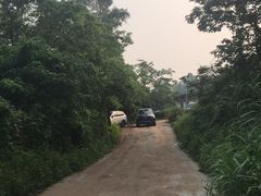 -火炉山森林公园
