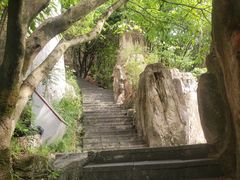 -铁山坪森林公园