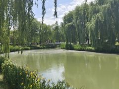 -河北省园博园