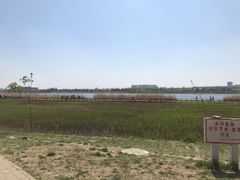 -绿堤公园