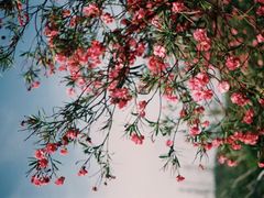 -东澳岛